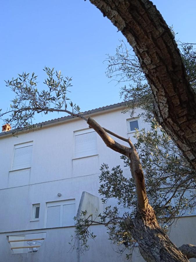 Apartments Irena Božava 外观 照片